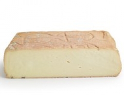 Cheeses of the world - Taleggio