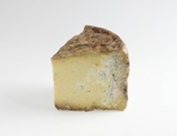 Fromages du monde - Bleu de Termignon