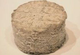 Cheeses of the world - Chèvre de la Gâtine