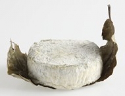 Cheeses of the world - Cendré de Niort 