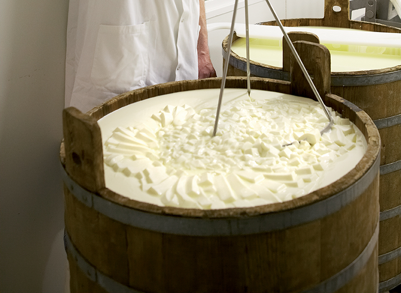 Cheesemaking equipment