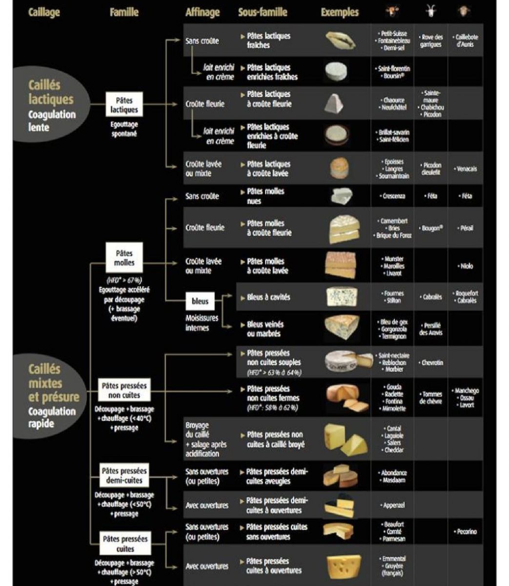 The major technological types of cheese