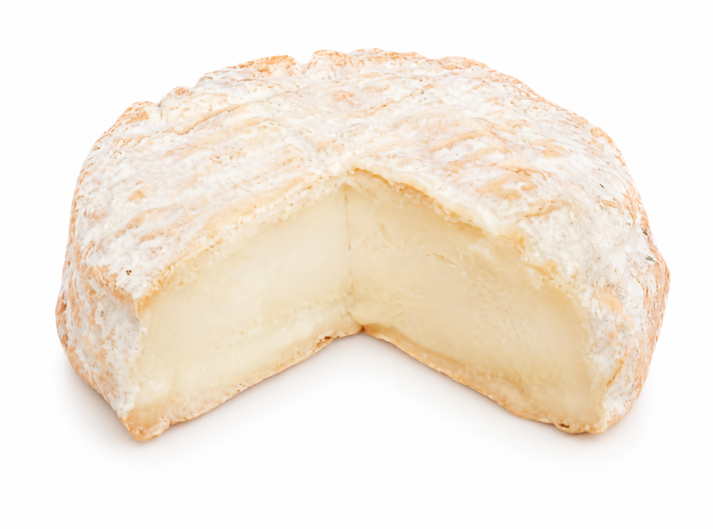 Brebis des Dombes