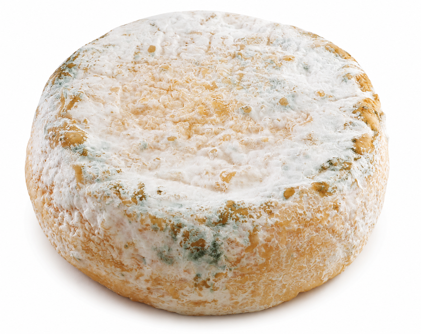 Capricorne de Jarjat