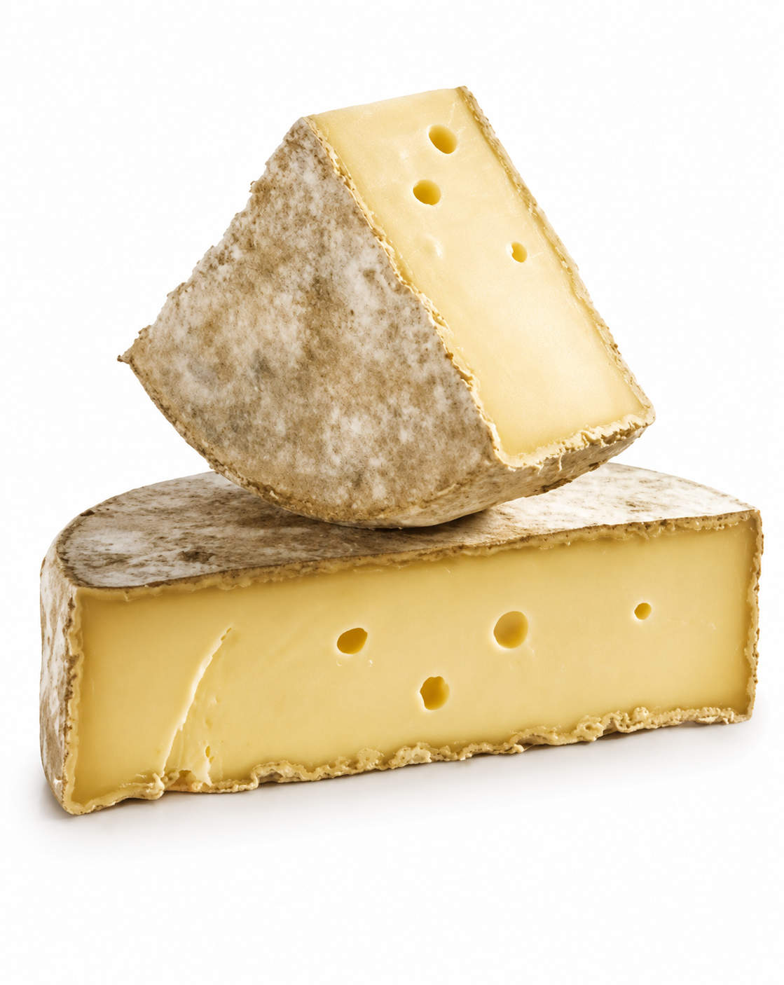 Chevrette des Bauges