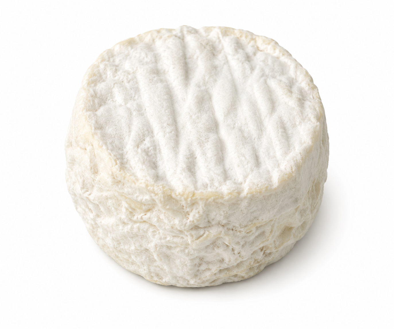 Chèvre de toucy