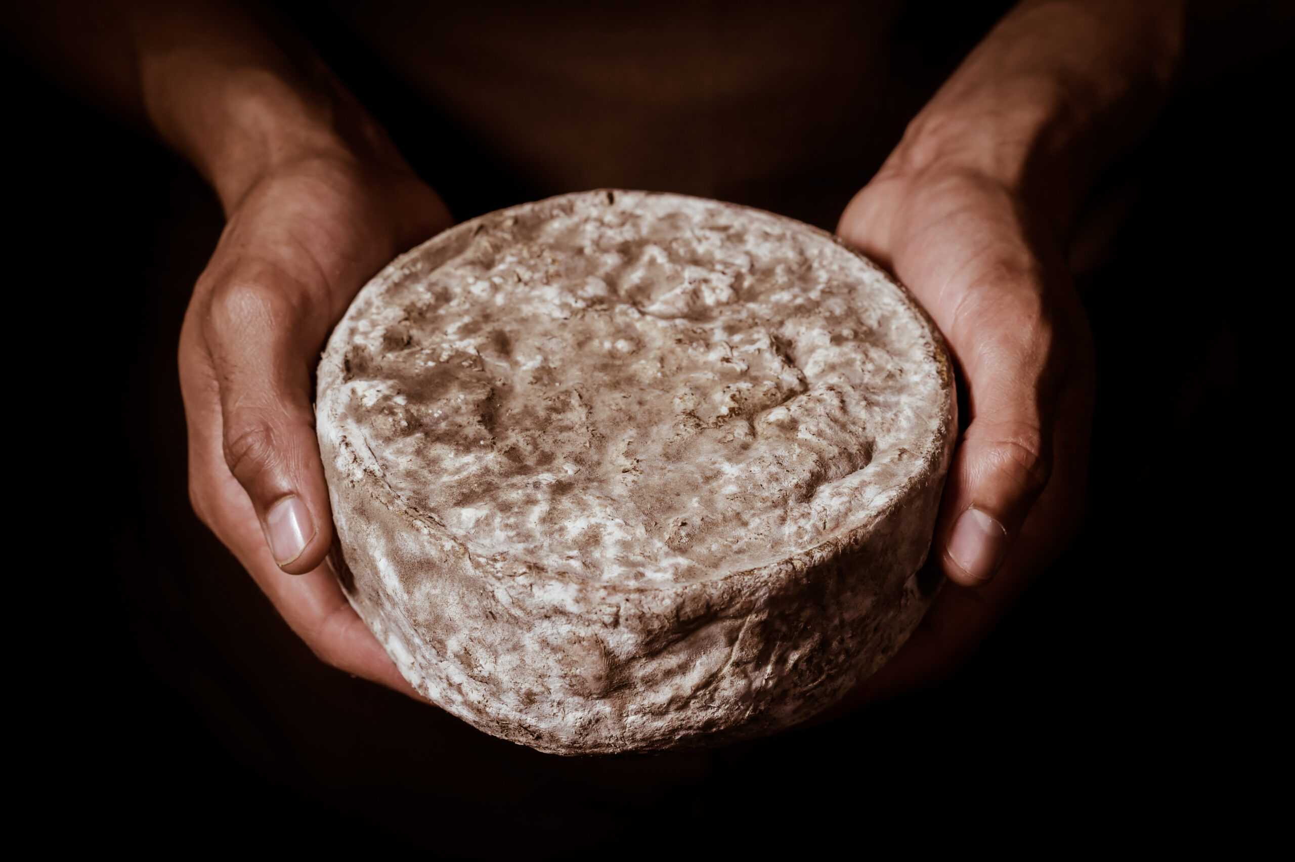 Le choix des fromages