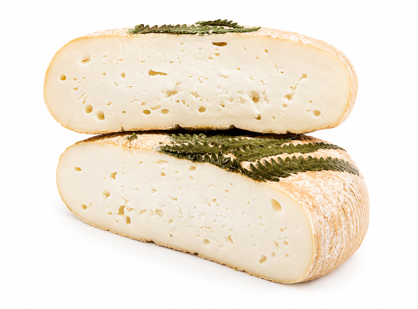 A Filetta