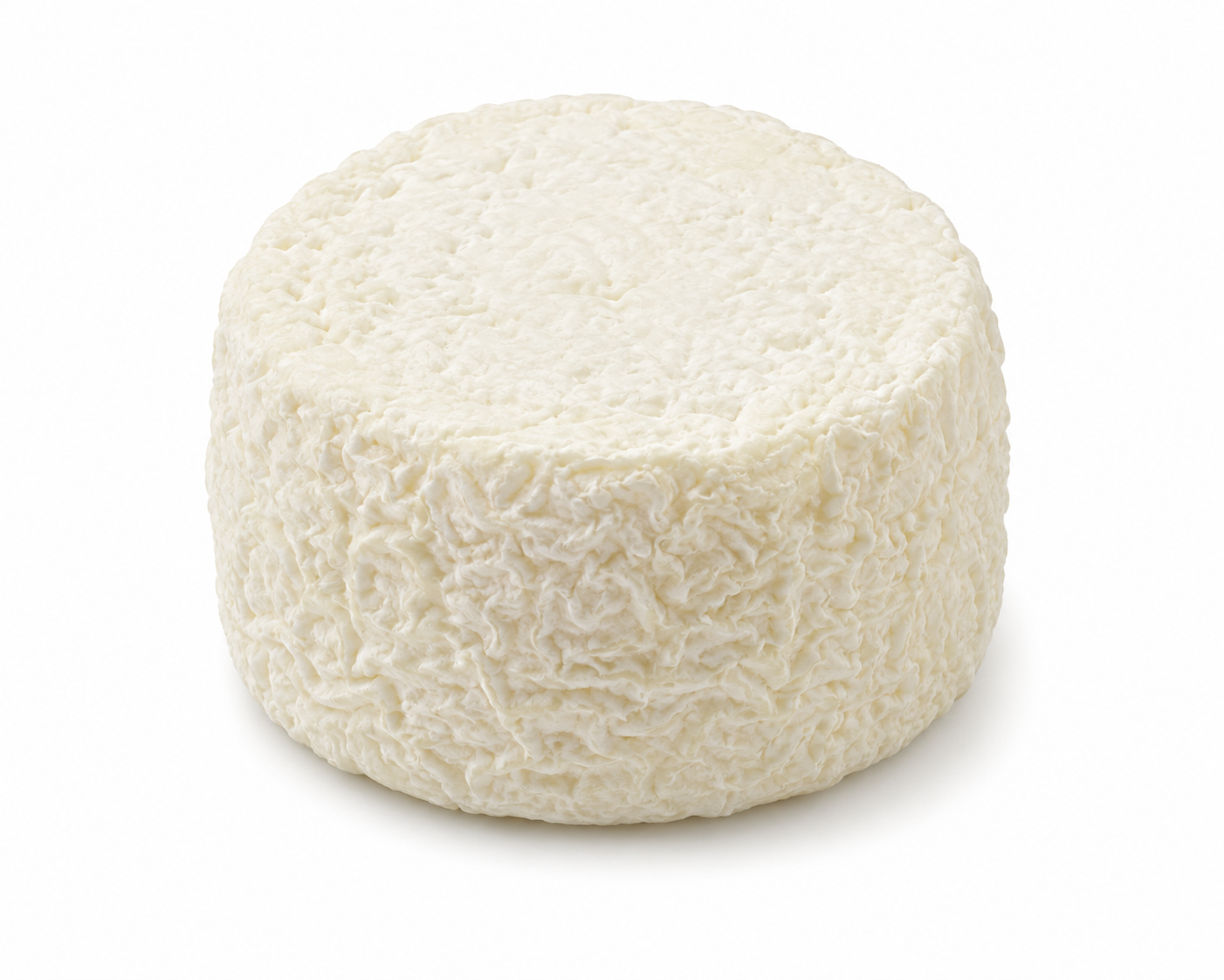 Chèvre de Bigorre