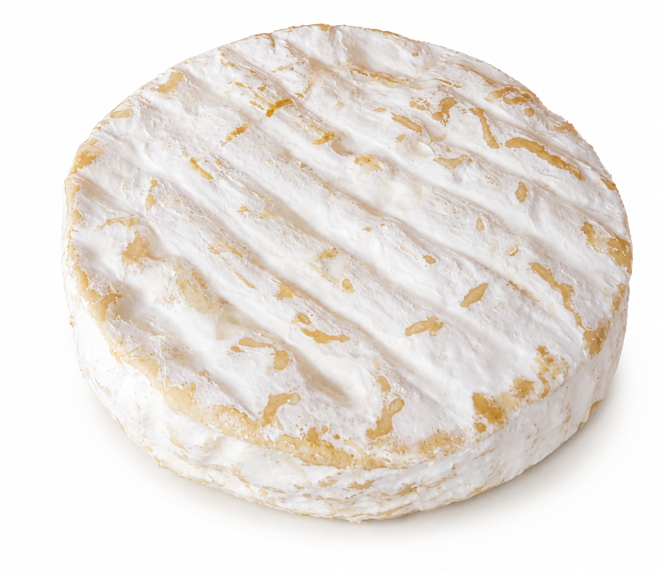 Brebis de la Cavalerie