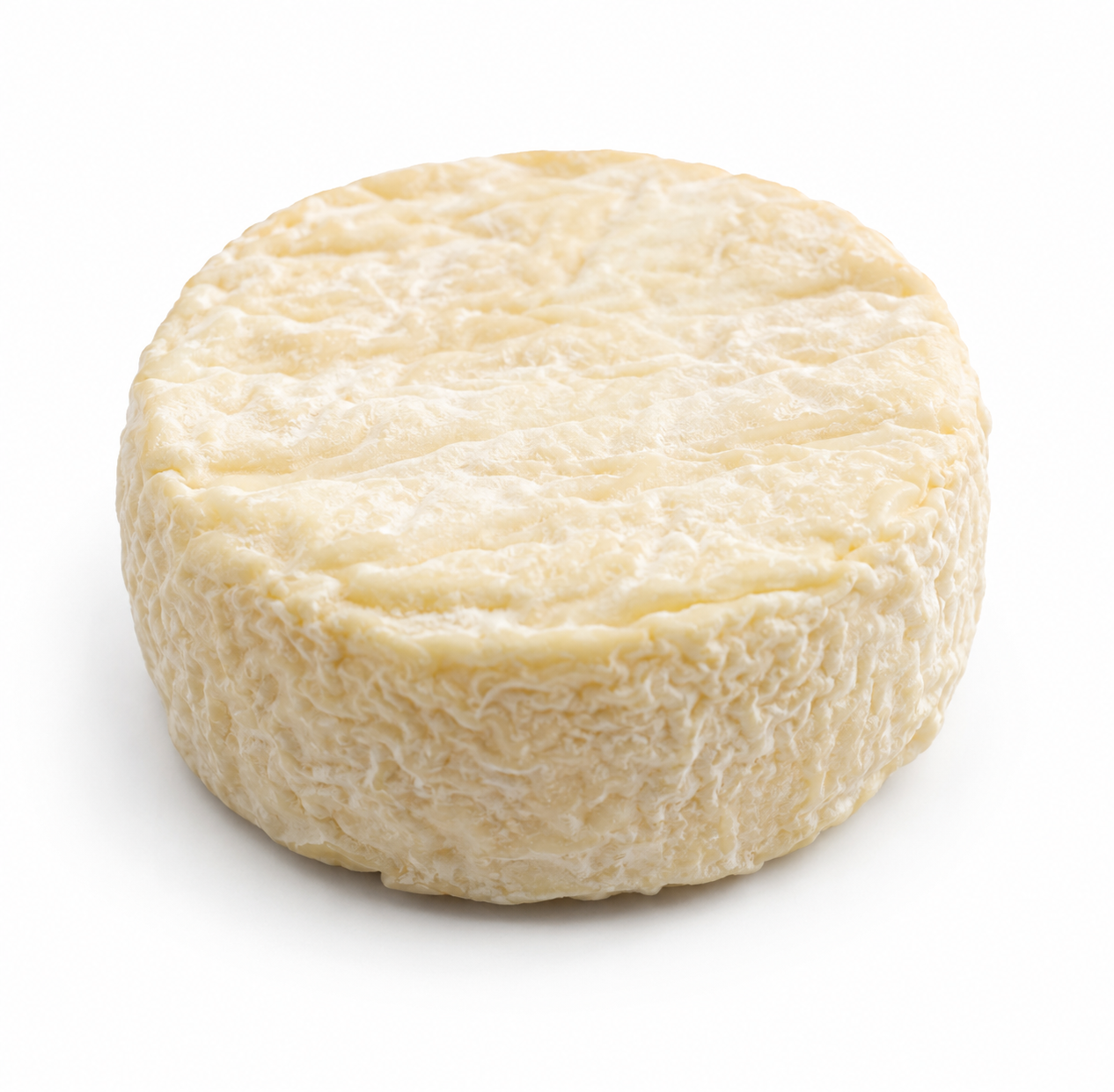 Brebis du Lochois