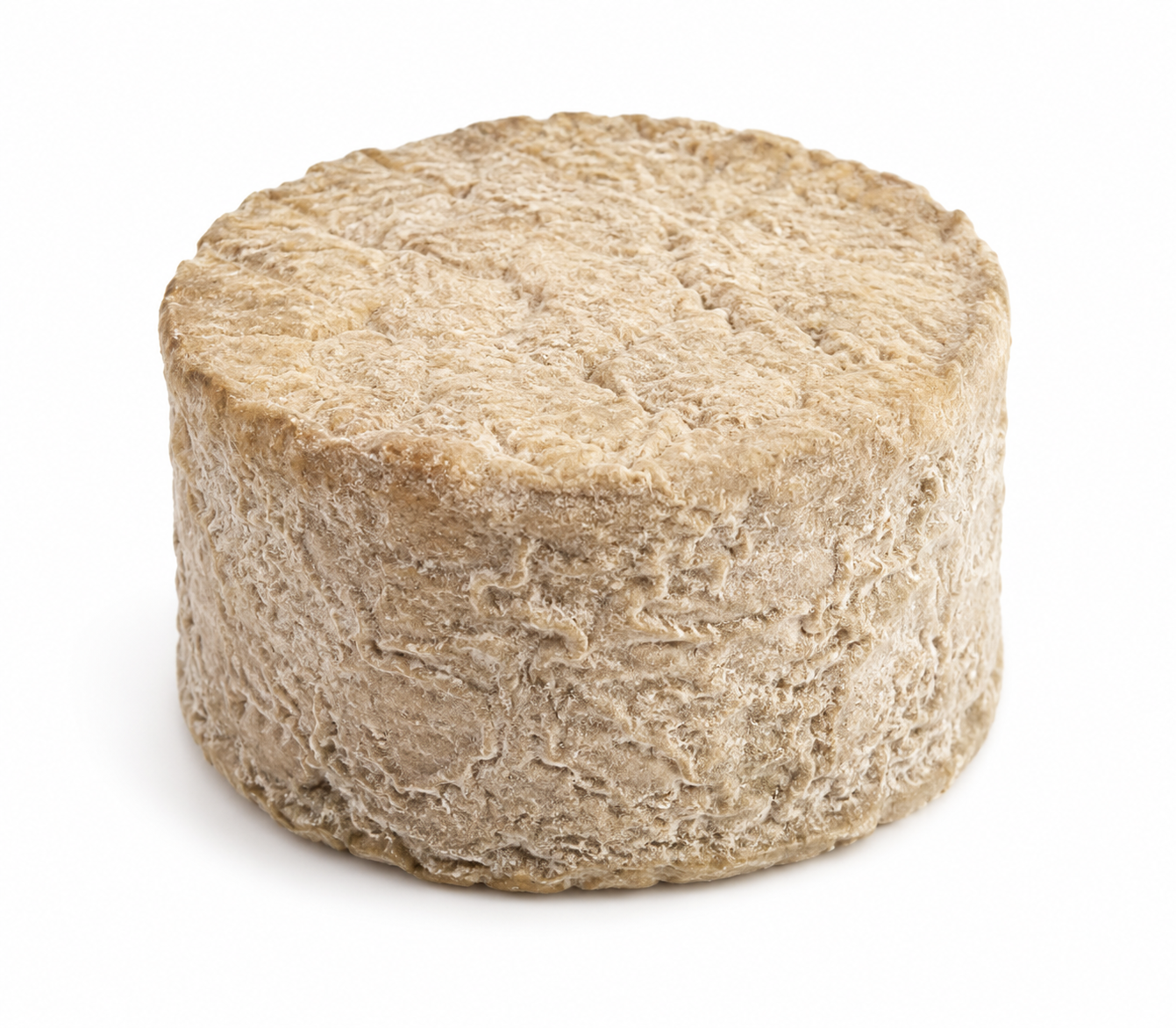 Chèvre de la Gâtine