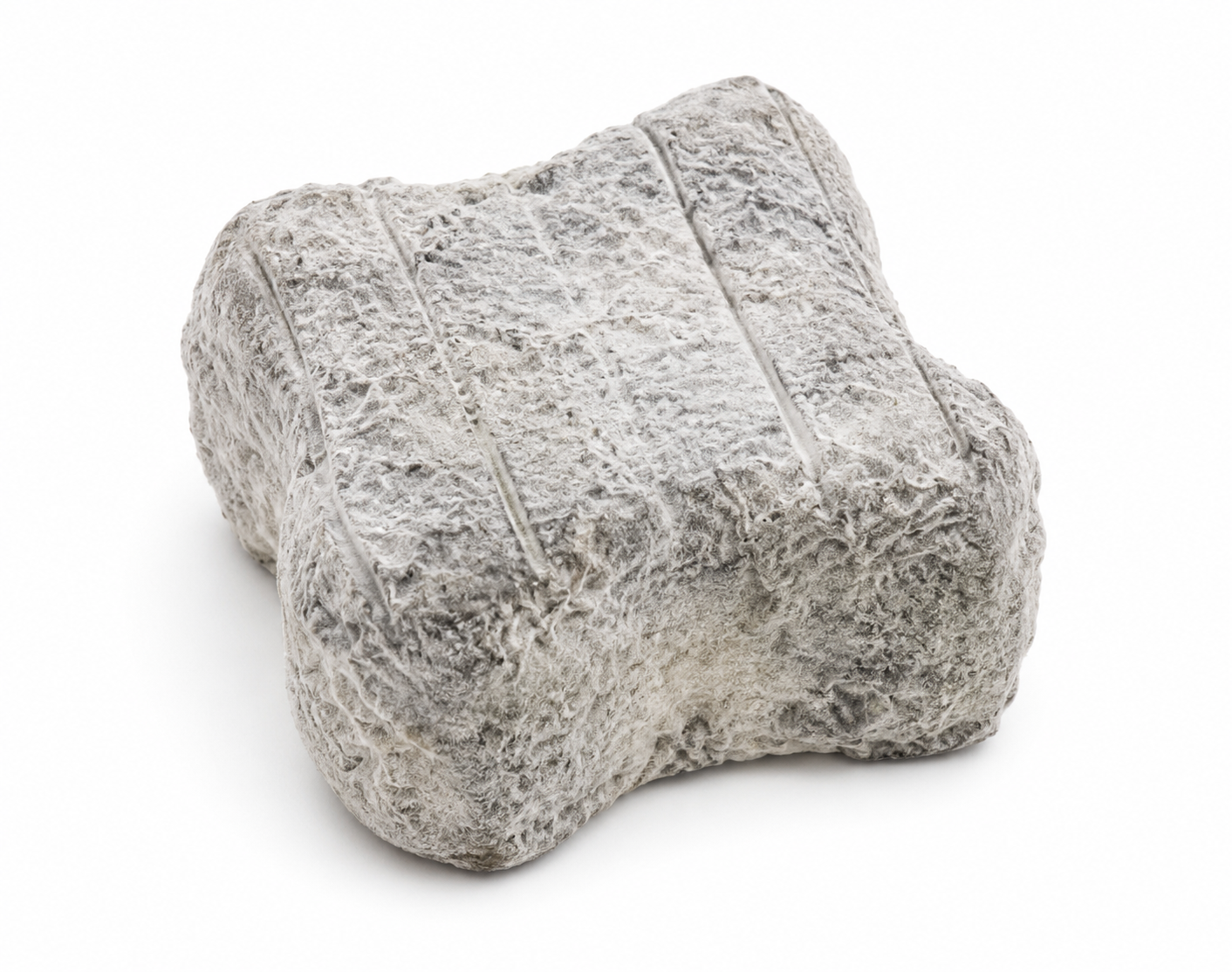 Chèvre du Perche