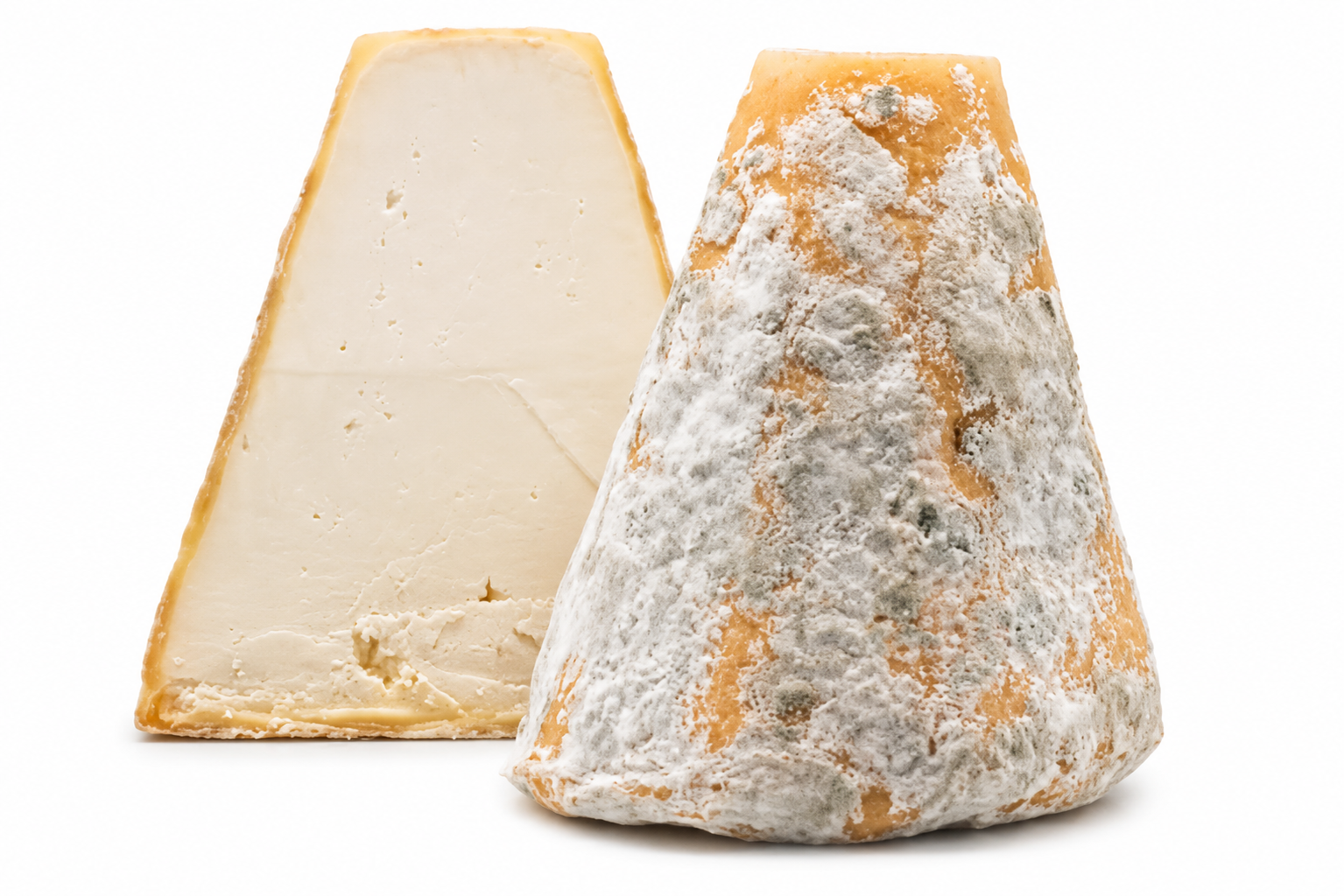 Colombier