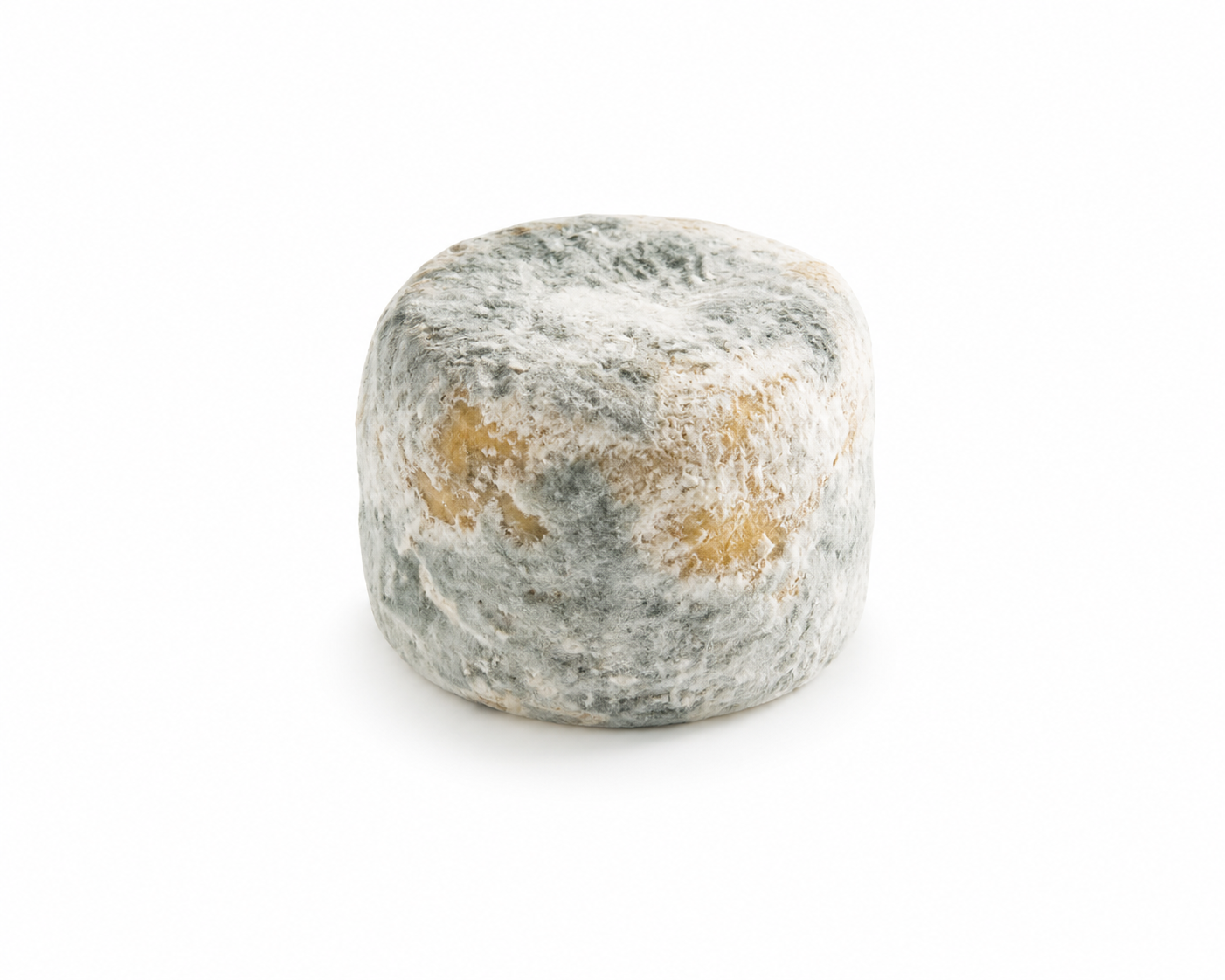 Crottin de Chavignol