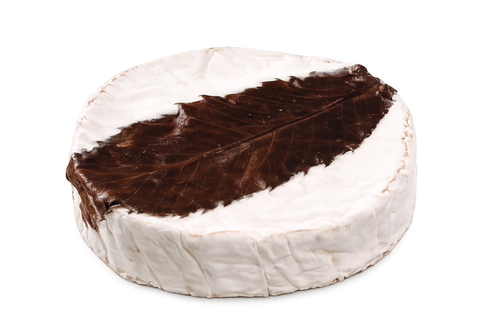 Feuille de Dreux
