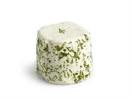 Perroche