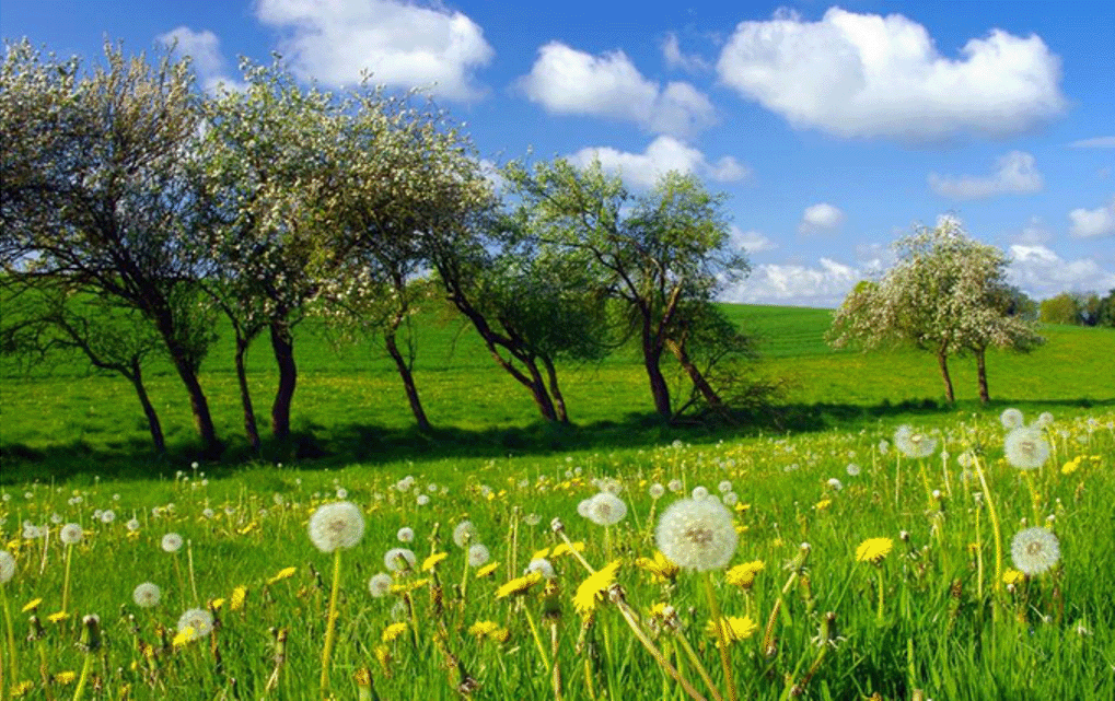 Printemps