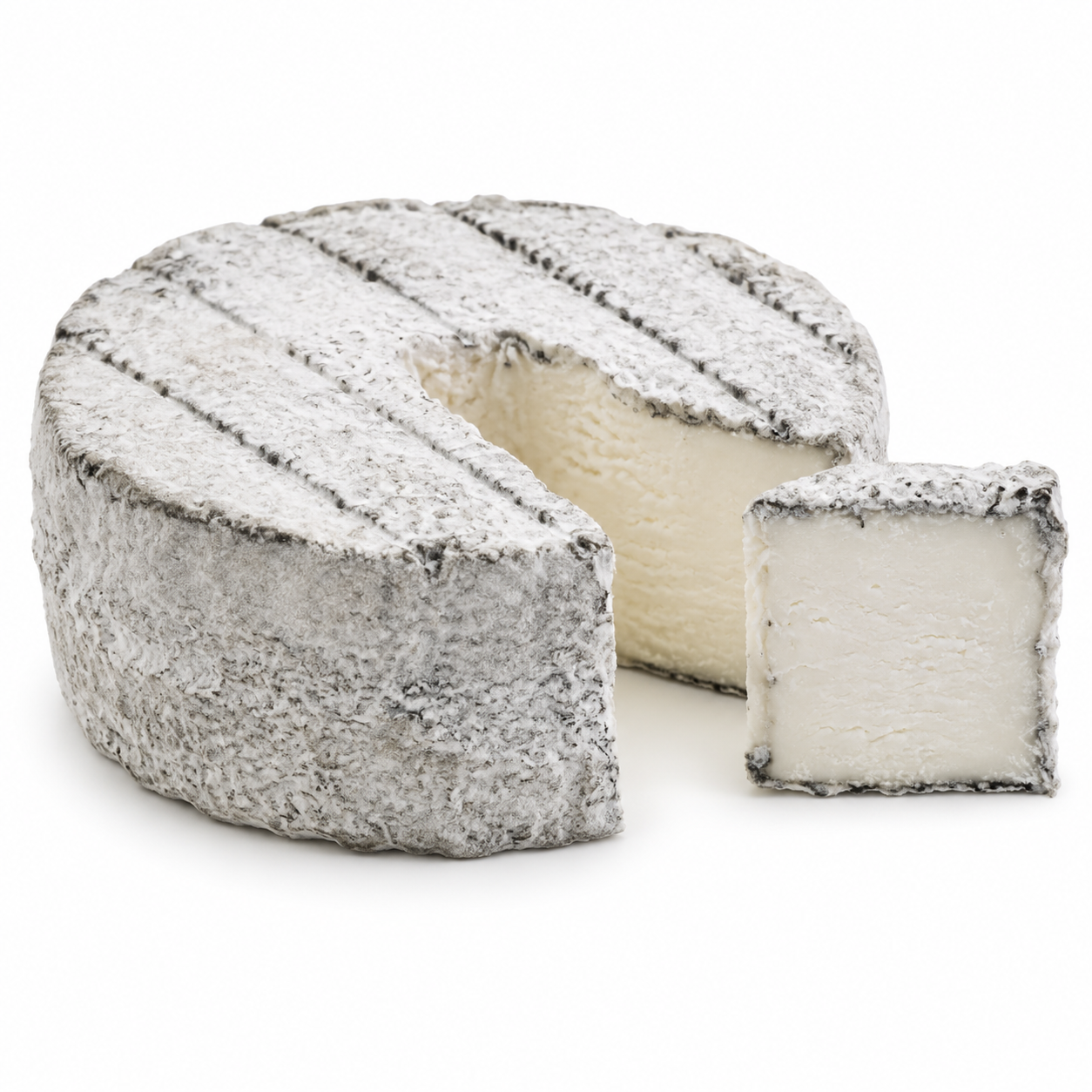 Rouelle du Tarn