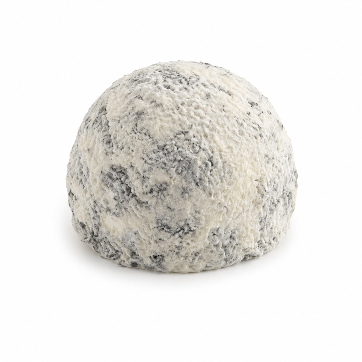 Taupinette Charentaise