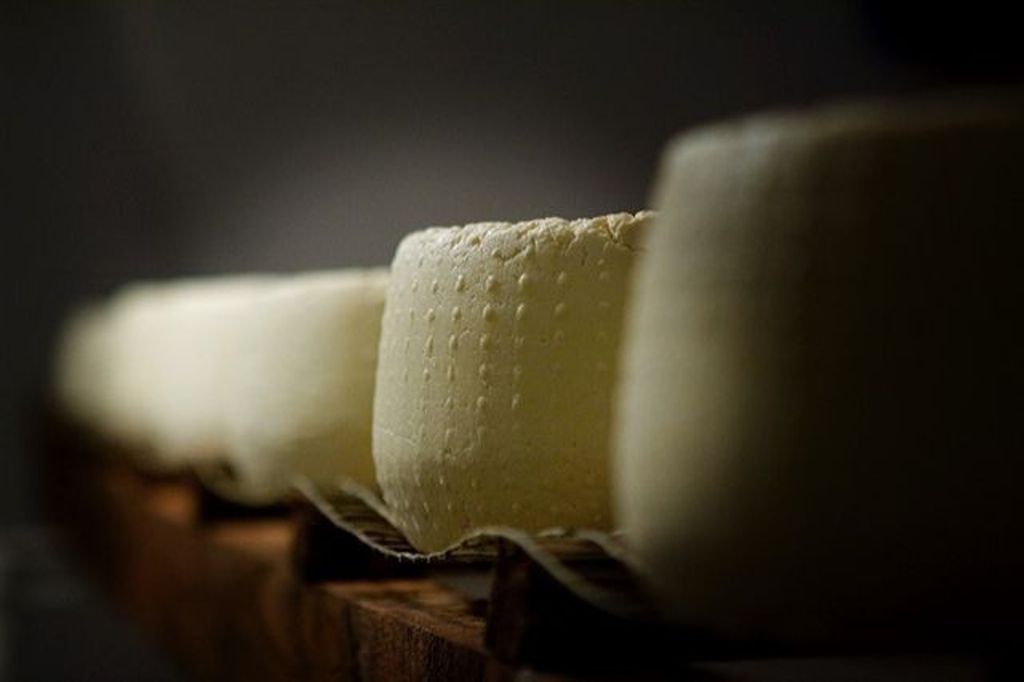 Recette au fromage Corse