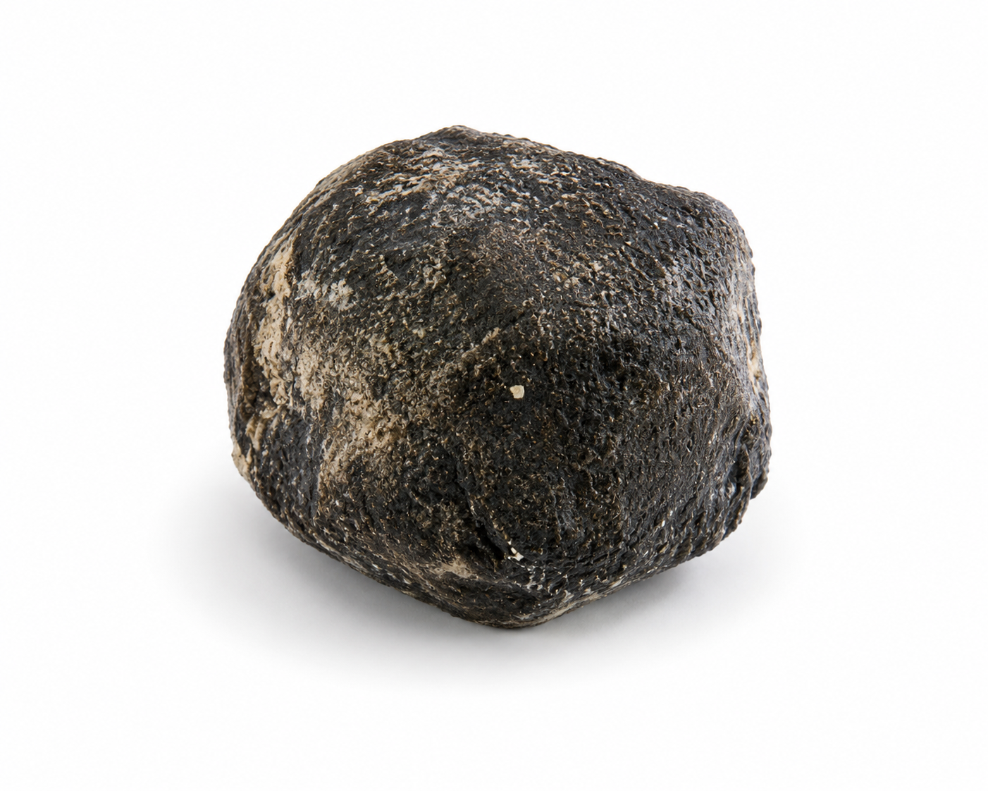 Truffe de Valensole