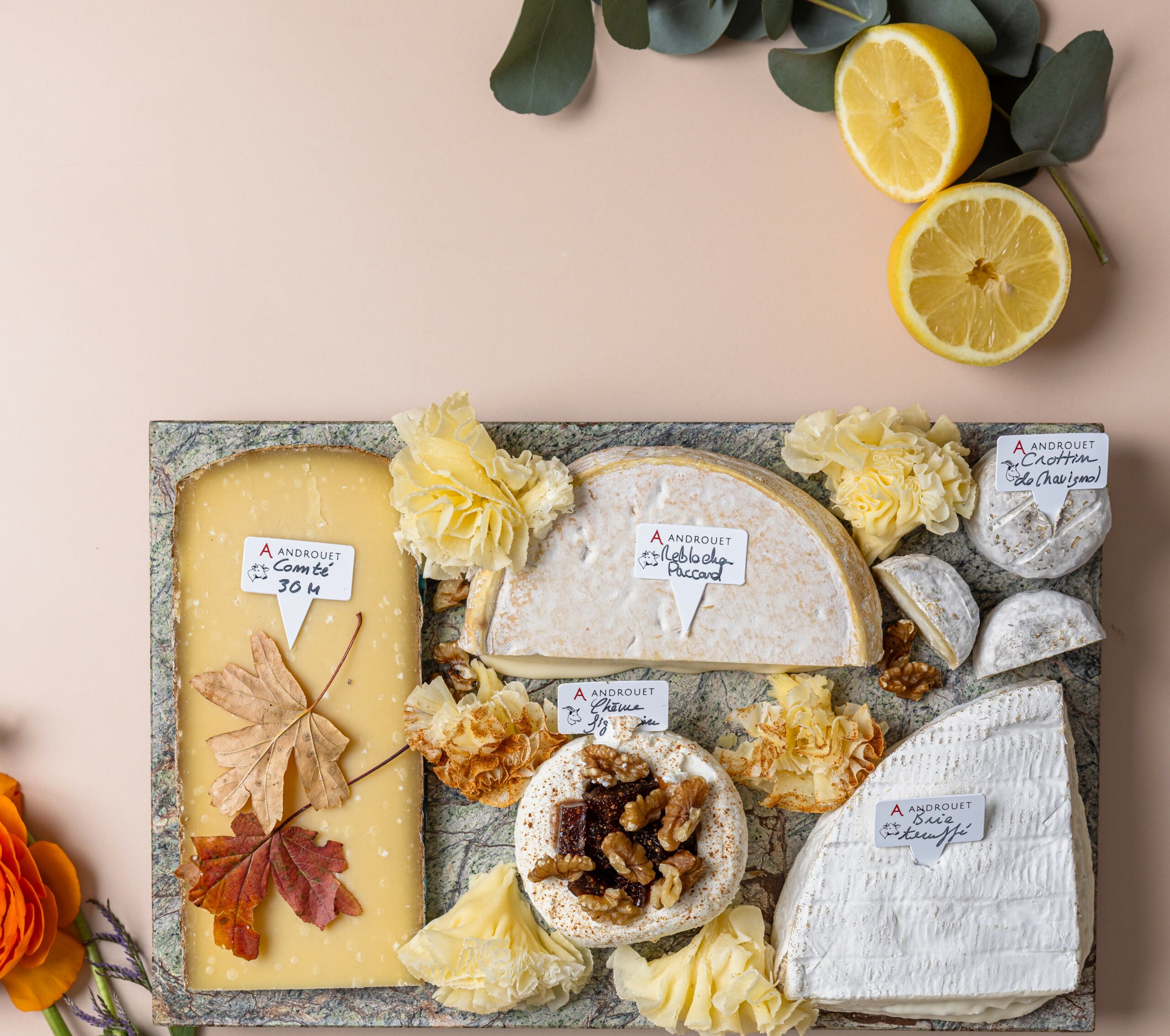 Sommaire – Les conseils du fromager